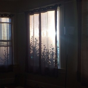 欧美男同性恋肛交视频
