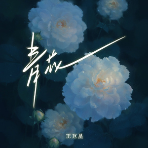 欧美男同性恋肛交视频
